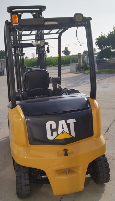 Caterpillar EP30N